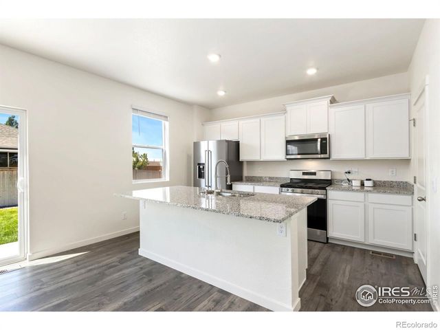 3713 Catmint Street, Wellington, CO 80549