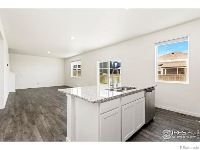 3713 Catmint Street, Wellington, CO 80549