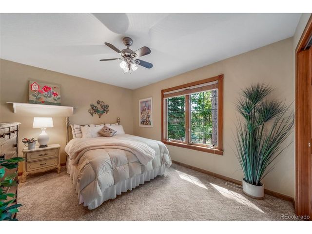 1087 Tenderfoot Dr, Larkspur, CO 80118