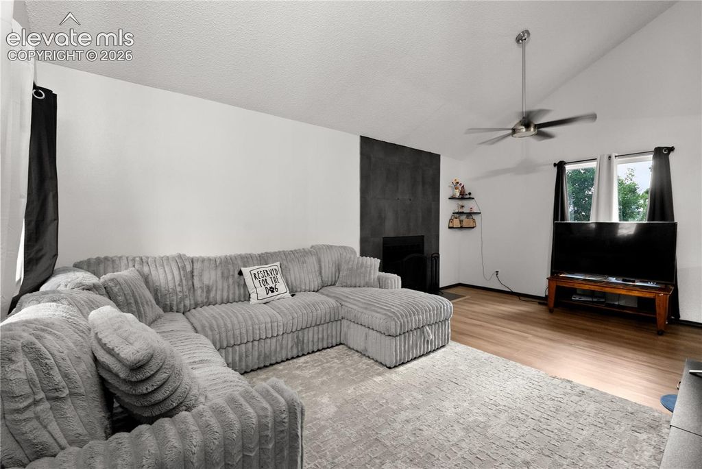 2634 Manassas Way, Colorado Springs, CO 80922 — photo 5