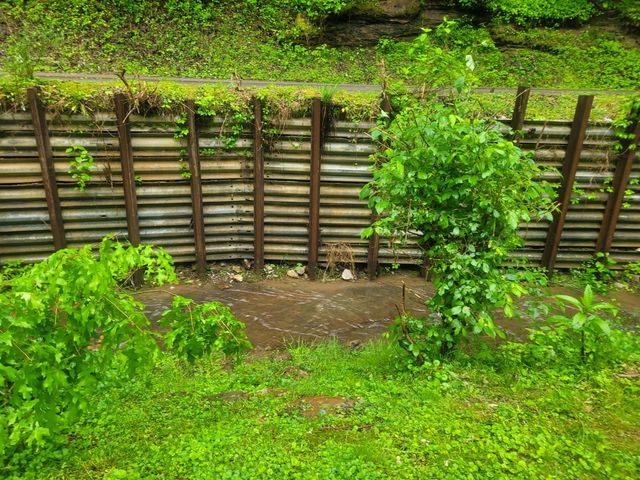 523 Bullskin Branch Road, Oneida, KY 40972