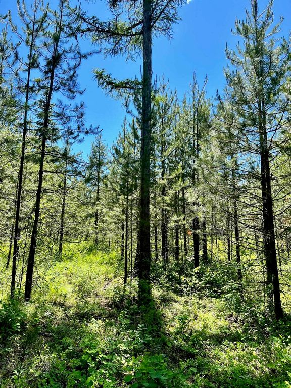 270 SPRING VALLEY RD, NEWPORT, WA 99156, NEWPORT, WA Clearwater