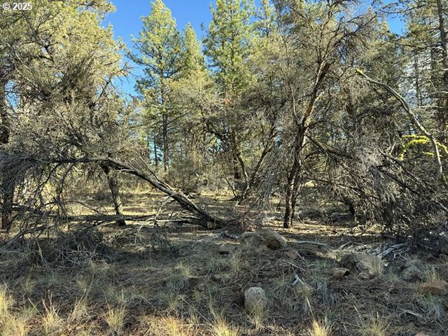 Bunting Drive 31, Bonanza, OR 97623