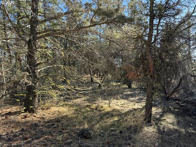 Bunting Drive 31, Bonanza, OR 97623