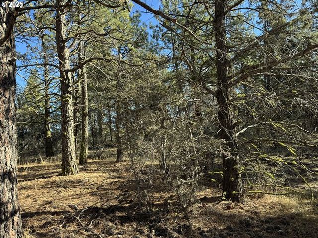 Bunting Drive 31, Bonanza, OR 97623
