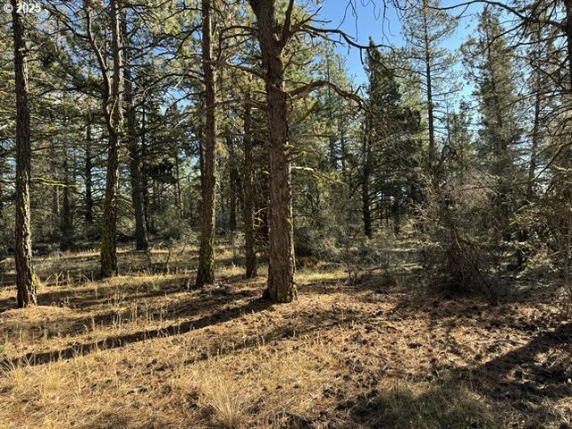 Bunting Drive 31, Bonanza, OR 97623