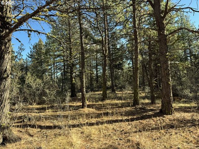 Bunting Drive 31, Bonanza, OR 97623
