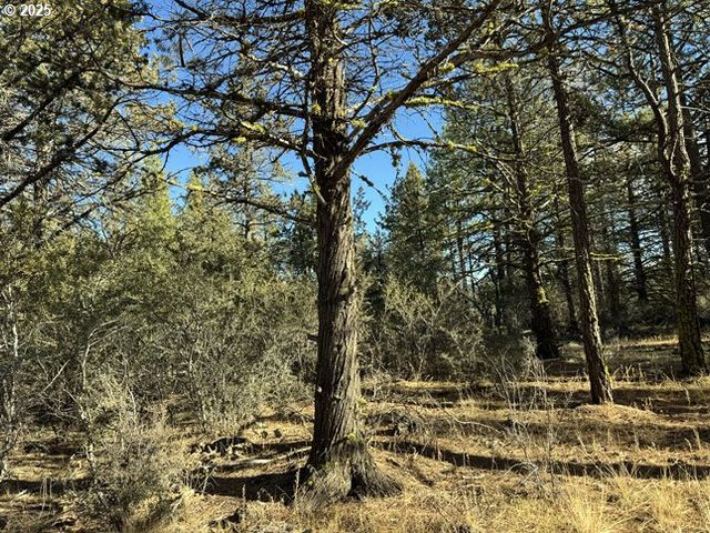 Bunting Drive 31, Bonanza, OR 97623