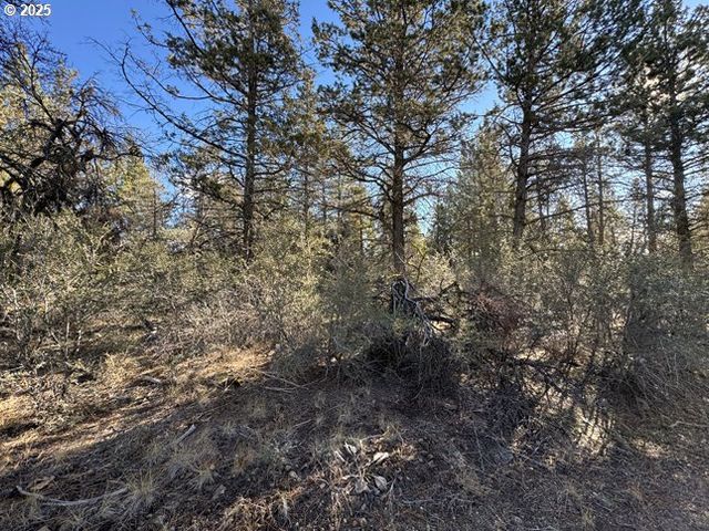 Bunting Drive 31, Bonanza, OR 97623