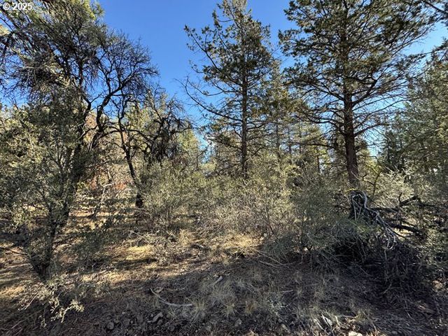 Bunting Drive 31, Bonanza, OR 97623