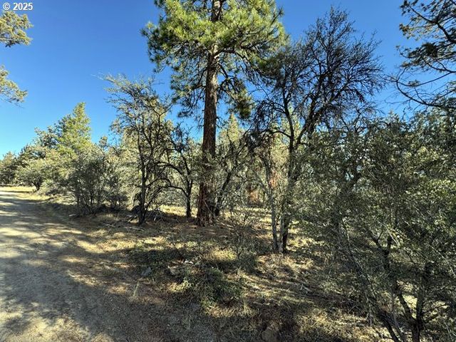 Bunting Drive 31, Bonanza, OR 97623