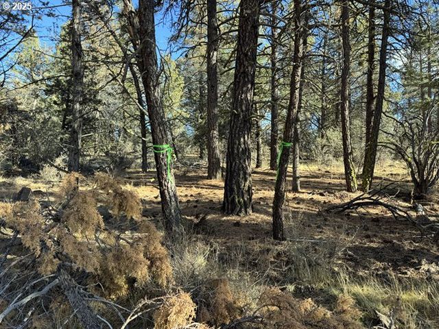 Bunting Drive 31, Bonanza, OR 97623