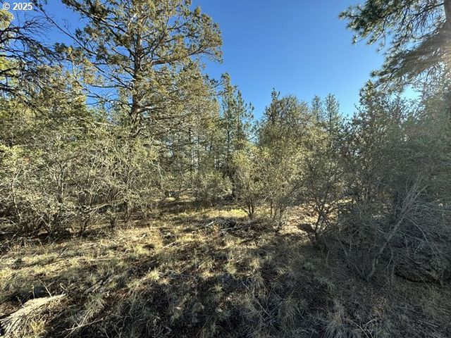 Bunting Drive 31, Bonanza, OR 97623