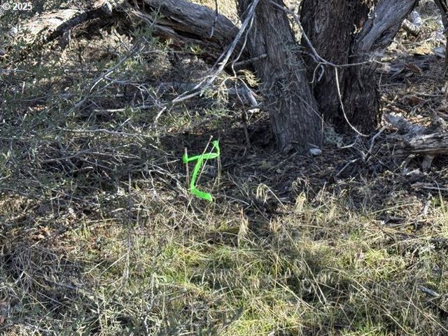 Bunting Drive 31, Bonanza, OR 97623