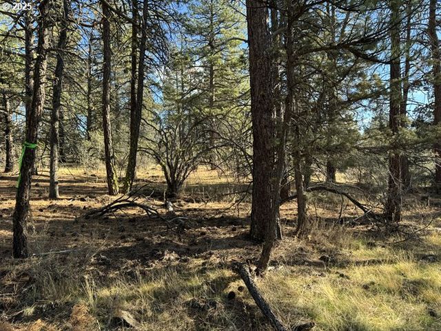 Bunting Drive 31, Bonanza, OR 97623