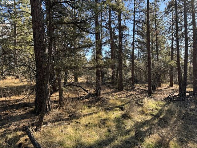 Bunting Drive 31, Bonanza, OR 97623