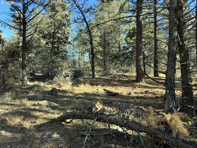 Bunting Drive 31, Bonanza, OR 97623