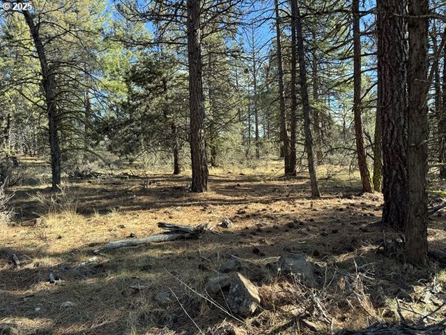 Bunting Drive 31, Bonanza, OR 97623