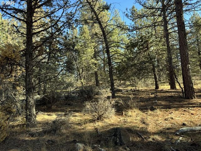 Bunting Drive 31, Bonanza, OR 97623