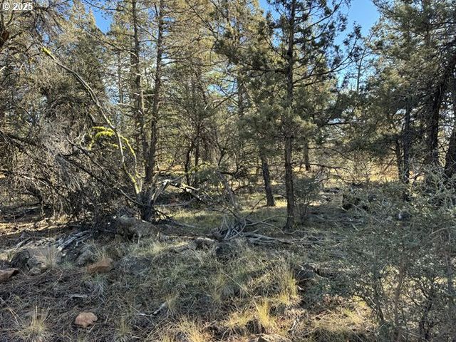 Bunting Drive 31, Bonanza, OR 97623