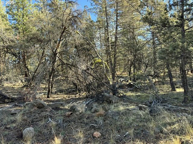Bunting Drive 31, Bonanza, OR 97623