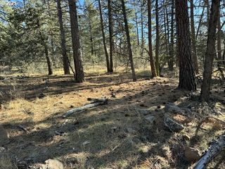 Bunting Drive 31, Bonanza, OR 97623