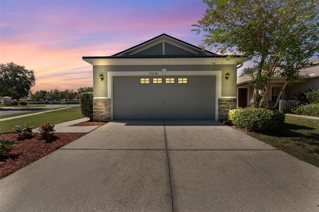 10238 PERTHSHIRE CIRCLE, Land O Lakes, FL 34638