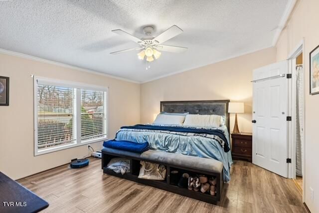 736 Susong Memorial Road, Greeneville, TN 37743