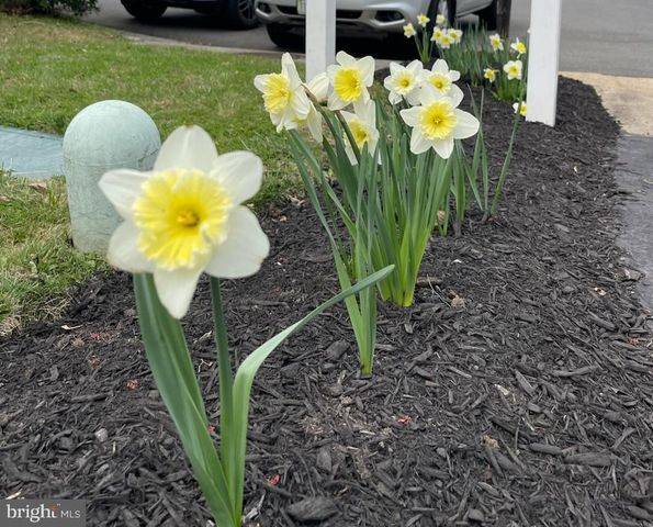 2785 SUGAR PINE CT, Woodbridge, VA 22192