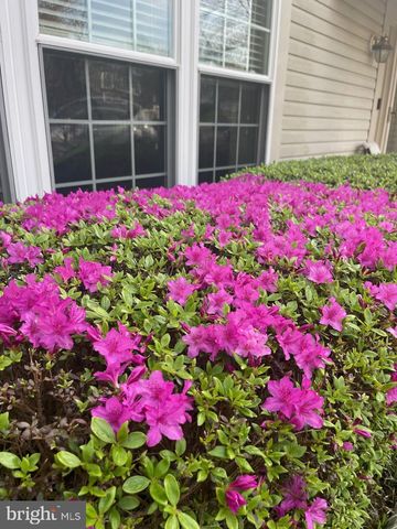 2785 SUGAR PINE CT, Woodbridge, VA 22192