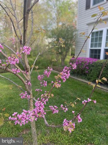 2785 SUGAR PINE CT, Woodbridge, VA 22192