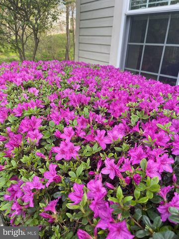 2785 SUGAR PINE CT, Woodbridge, VA 22192