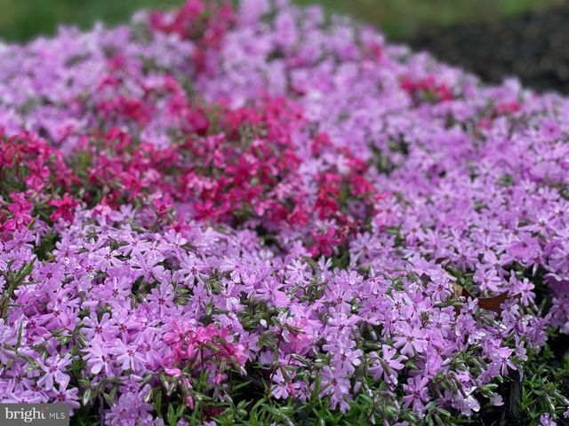 2785 SUGAR PINE CT, Woodbridge, VA 22192