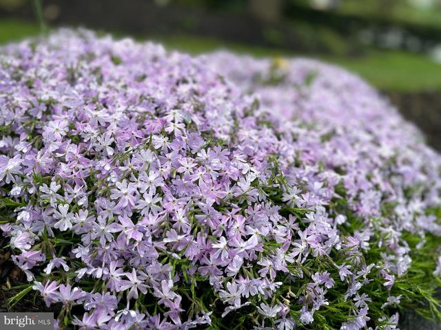 2785 SUGAR PINE CT, Woodbridge, VA 22192