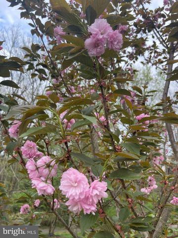 2785 SUGAR PINE CT, Woodbridge, VA 22192