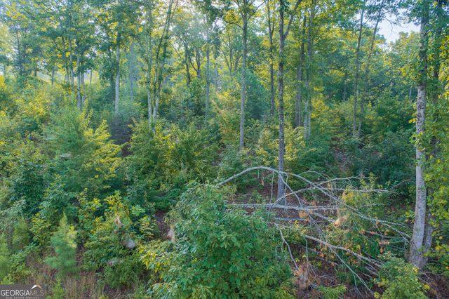 LOT 191 Oak Park Drive, Talking Rock, GA 30175