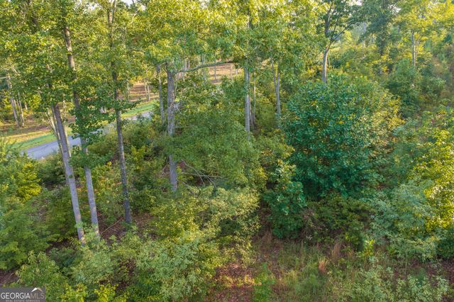 LOT 191 Oak Park Drive, Talking Rock, GA 30175