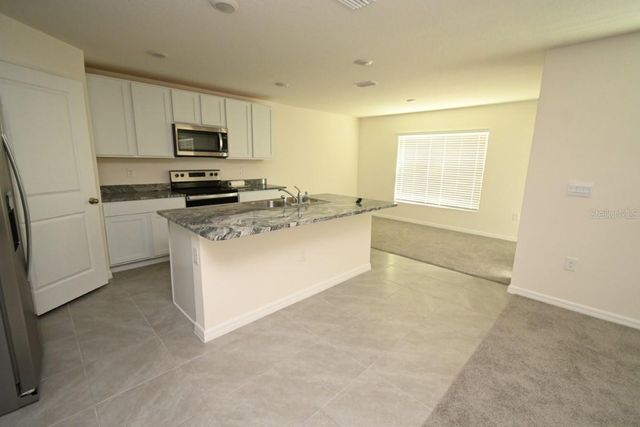 36698 SPANISH ROSE DRIVE, Dade City, FL 33525