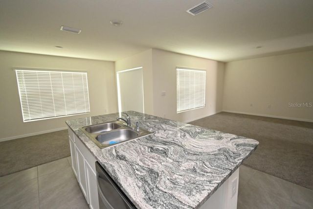 36698 SPANISH ROSE DRIVE, Dade City, FL 33525