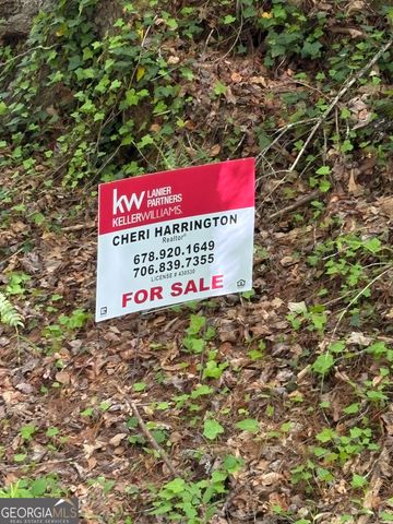 0 Western Way, Rabun Gap, GA 30568