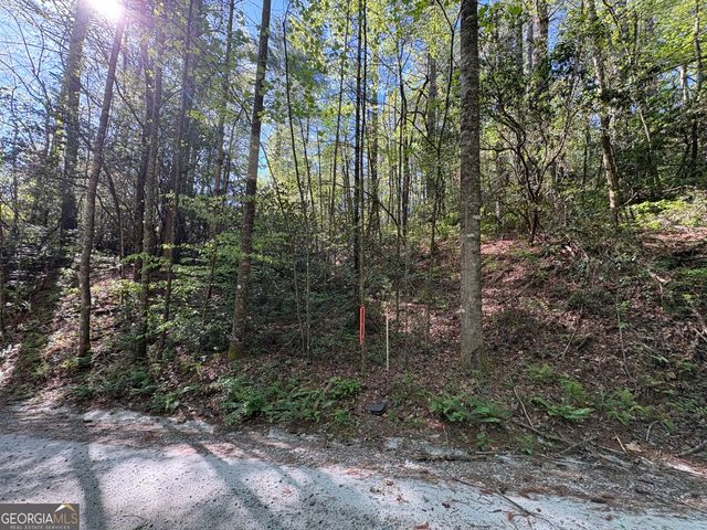 0 Western Way, Rabun Gap, GA 30568