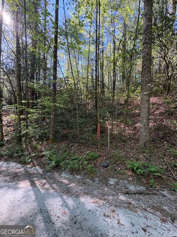 0 Western Way, Rabun Gap, GA 30568
