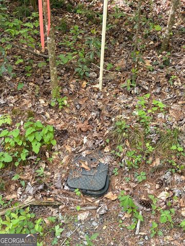 0 Western Way, Rabun Gap, GA 30568