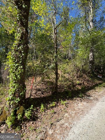 0 Western Way, Rabun Gap, GA 30568
