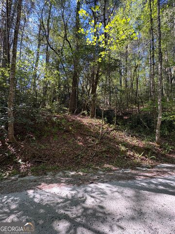 0 Western Way, Rabun Gap, GA 30568