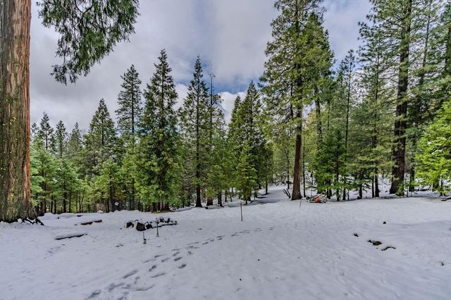 25630 Overland Dr, Volcano, CA 95689