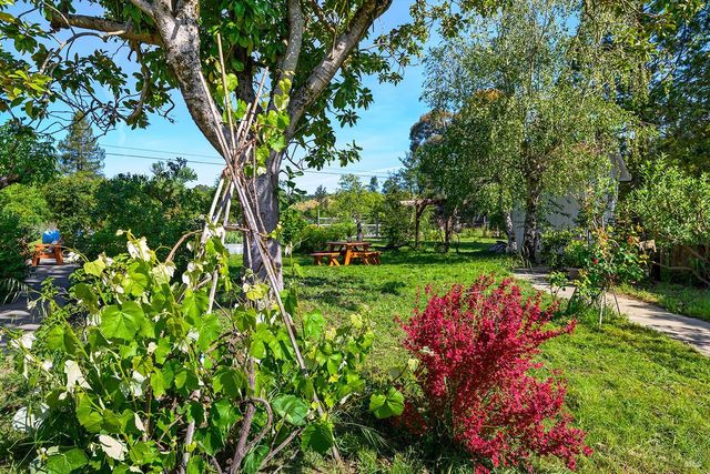 431 Sexton Rd, Sebastopol, CA 95472