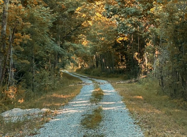 8 John Ross Hollow, Erin, TN 37061