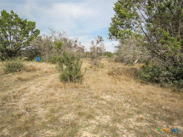 612 Private Road 4718, Kempner, TX 76539