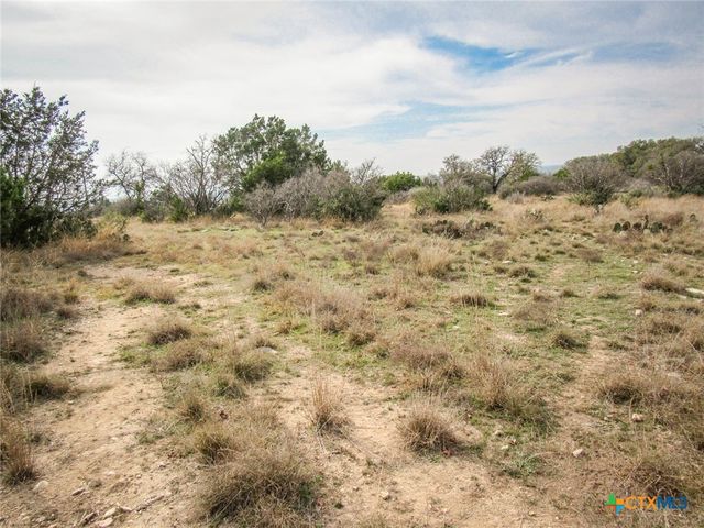 612 Private Road 4718, Kempner, TX 76539